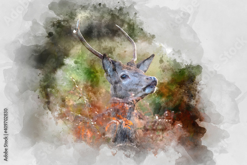 Digital watercolor painting of Beautiful image of red deer stag in vibrant golds and browns of Autumn Fall landscape forest © veneratio