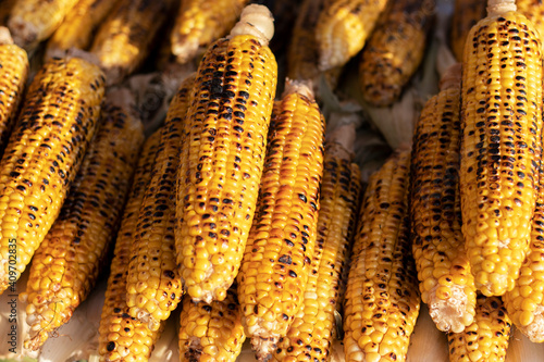 Grilled corn cobs on the counter at a street food market.