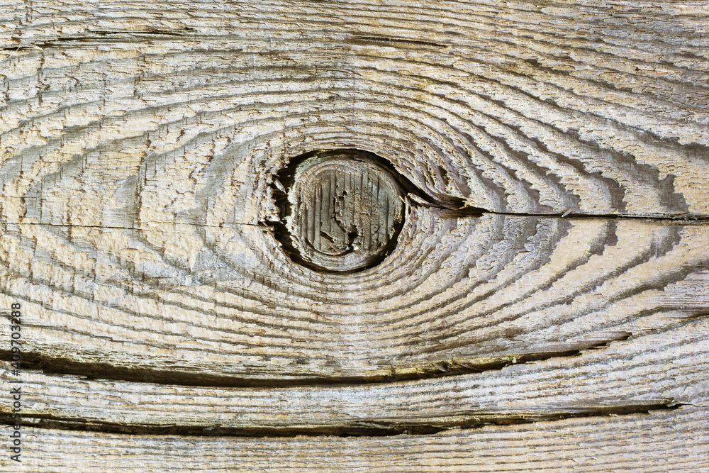Wood knot background. Grunge wooden texture. Dry desk cracks pattern. Cut tree slice cross section. Uneven natural material board. Cracked wood texture.