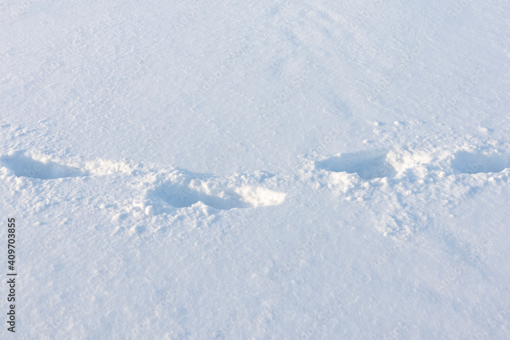 Footprints in white snow