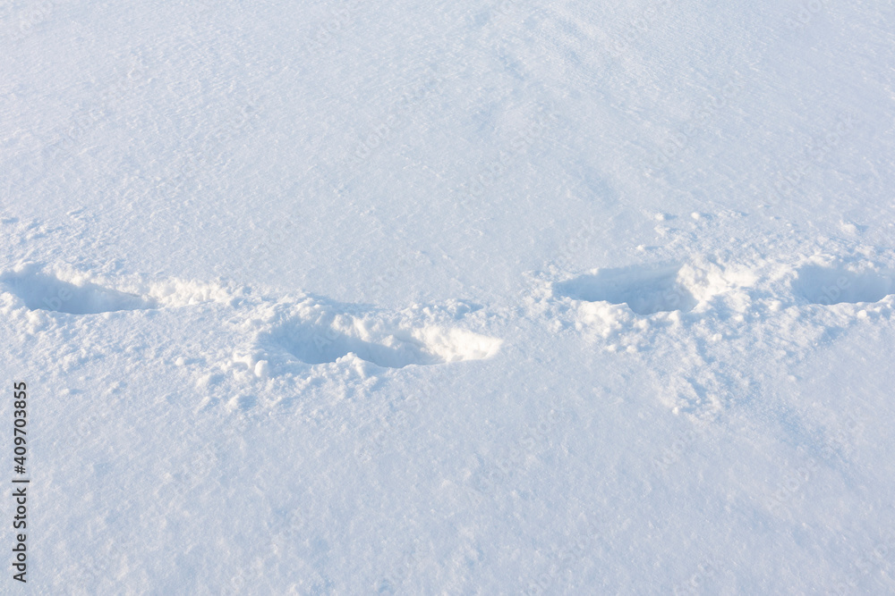 Obraz premium Footprints in white snow