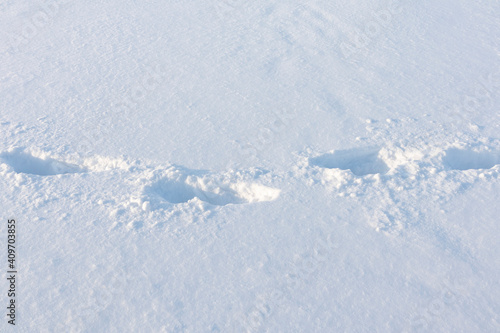 Footprints in white snow