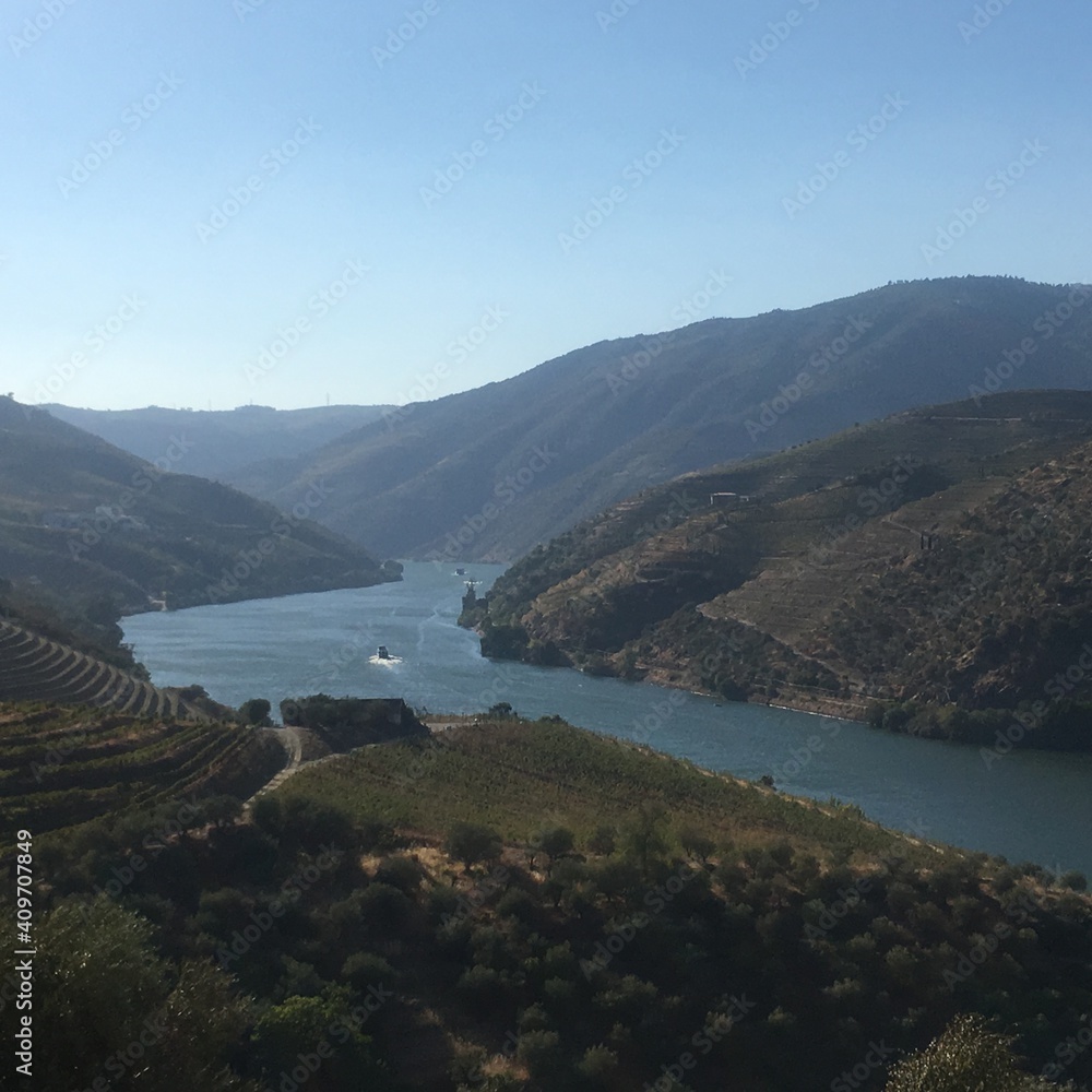 Fototapeta premium Douro Valley Vineyards River View