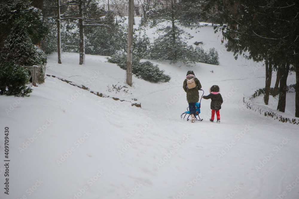 mom and daughter. The family is walking in the winter park. A parent with a child on a sled. a girl walks with a child in the snow, in a grove, in winter, with a sled. back view mom and daughter. The family is walking in the winter park. A parent with a child on a sled. a girl walks with a child in the snow, in a grove, in winter, with a sled. back view