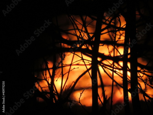 Fire, bonfire in nature, forest, park through tree branch silhouettes, night time 