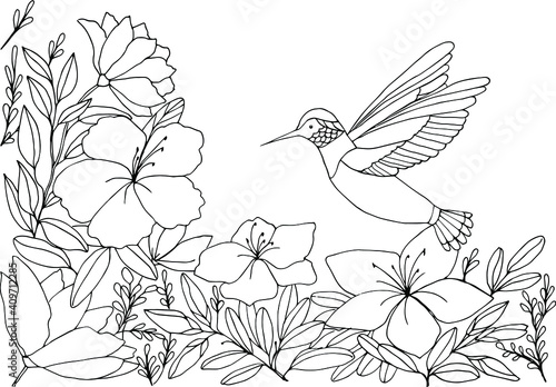 Coloring book with hummingbirds on a floral background. Vector illustration. The flight of a bird. Suitable for greeting cards, games, books, background, design.