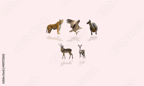 set of 5 animal vector elements collection 