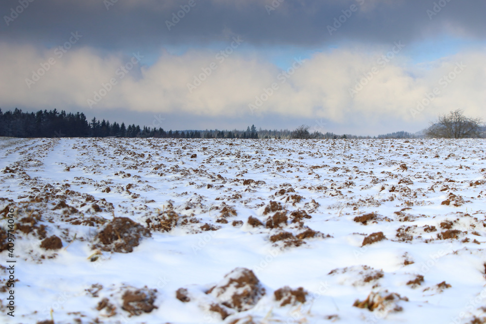 scenic view over a snowy field tp the horizon