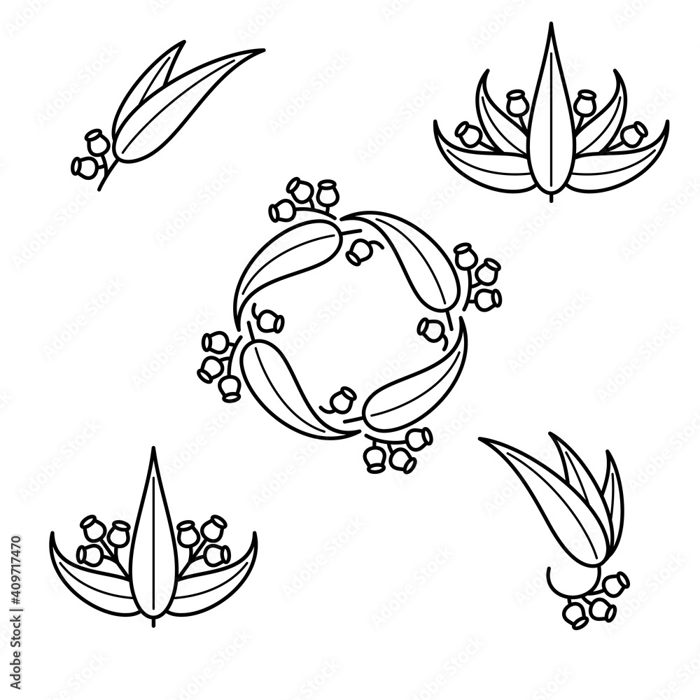 Obraz premium Eucalyptus set. Collection icon eucalyptus. Vector