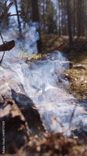 Wallpaper Mural bonfire, smoke Torontodigital.ca