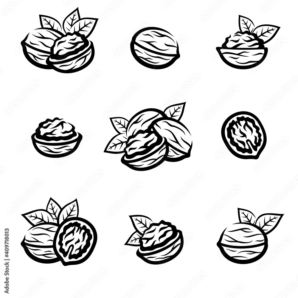 Walnut set. Collection icon walnut. Vector Walnut set. Collection icon walnut. Vector