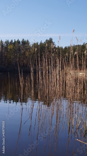 Wallpaper Mural reflection in the water Torontodigital.ca