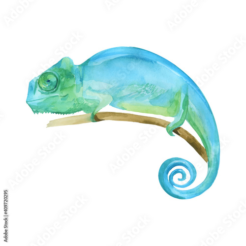 Blue Iguana watercolor painting vector illustration,  "Grand Cayman Blue Iguana", lizard on the branch. Sleeping dragon big reptilia wild animal.