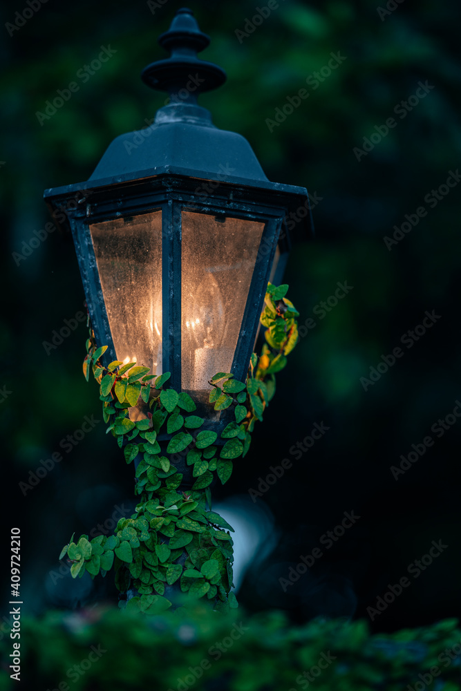 lantern in the garden lamp beautiful 