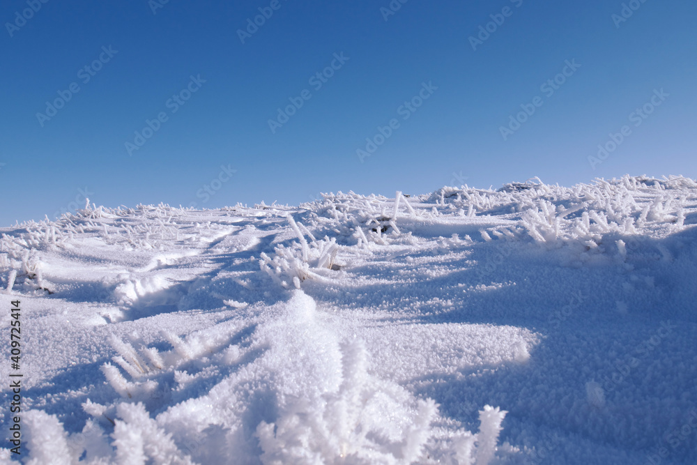 snow covered frozen grass turfs under clear blue sky
