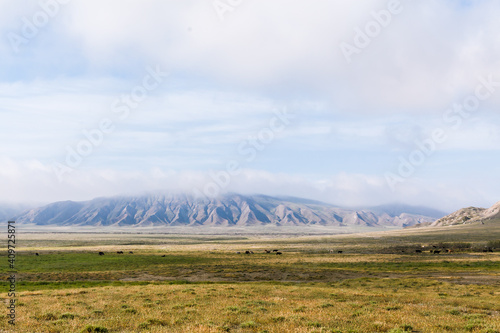 Gobustan National Park Reserve Baku Azerbaijan. Spring mountain landscape, Caucasian foothills, Tourism and hiking
