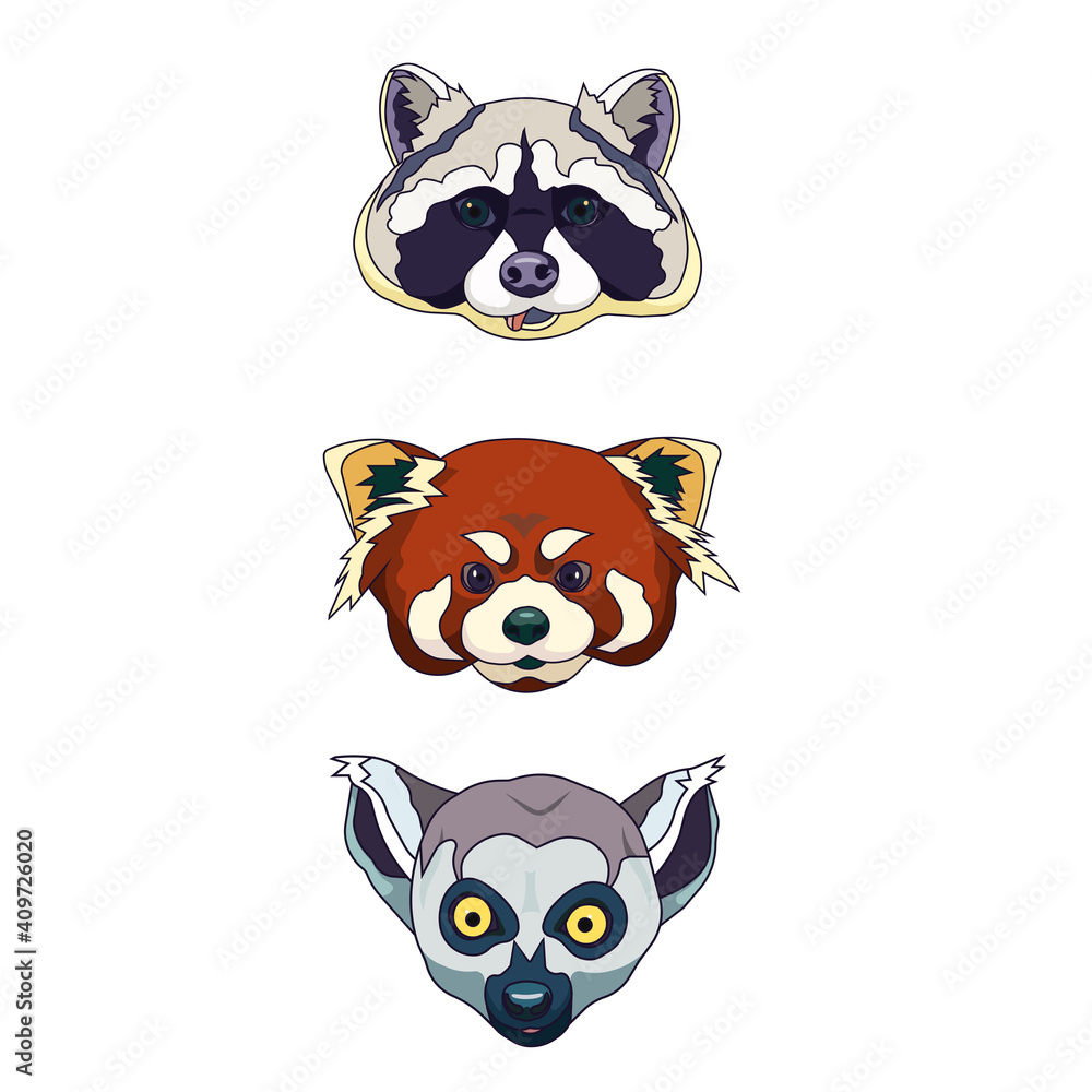Set of heads Raccoon, Red Panda and Lemur in Cartoon style, vector wild animals on white isolated background, concept of Nature and Fauna, Animals and Wildlife, also Wildlife sanctuary. Set of heads Raccoon, Red Panda and Lemur in Cartoon style, vector wild animals on white isolated background, concept of Nature and Fauna, Animals and Wildlife, also Wildlife sanctuary.