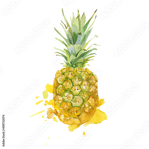 Single whole ripe pineapple watercolor painting vector illustration. Hand drawn exotic tropical fruit. Sketch. Fresh organic fruit healthy lifestyle.