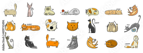 Collection of cats character for your design