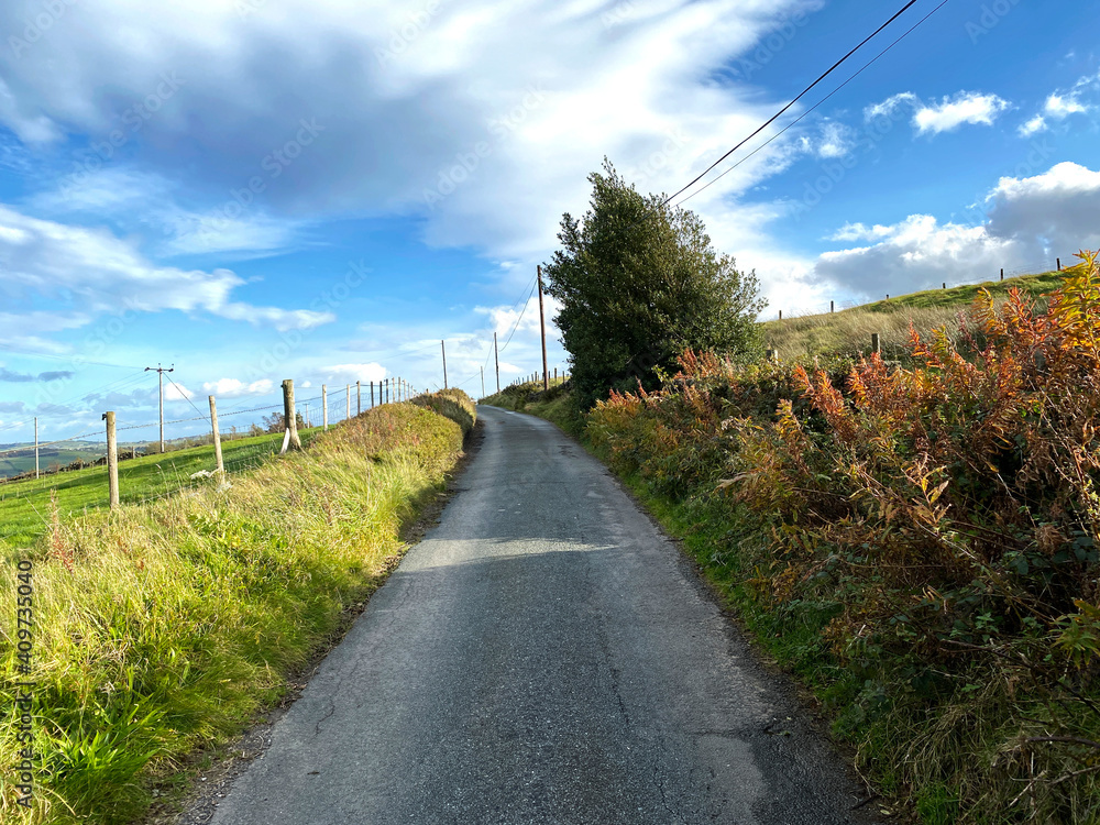 Looking up, Nook Lane, on a late autumn afternoon, with wild plants, trees, and fields near, Sowerby Bridge, Yorkshire, UK