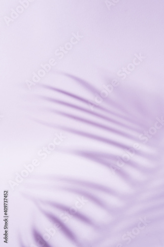 Abstract vertical background of the shadow of a palm tree's leaf in purple