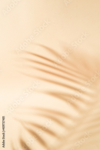 Abstract vertical background of the shadow of a palm tree's leaf in orange