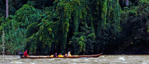 Malaysia: Taman Negara National Park Rainforest | Der schützenswerte Primärwald im Tama Negara Nationalpark photo