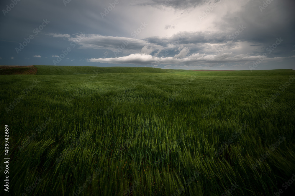 The beauty of the palouse area in the spring after a storm