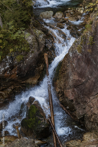 Forest stream In Tatra Mountains