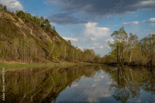 Fototapeta Naklejka Na Ścianę i Meble -  Trees fell into the water during the spring flood. Hilly coastline, beautiful clouds in the sky.