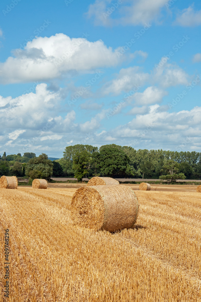 Straw bales in a summertime field