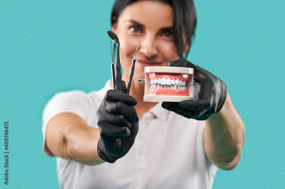 Jaw cast and dental tools in the hands of a young beautiful blurred dentist woman isolated on a blue background. Carver, extractor and dental mirror. Jaw cast and dental tools in the hands of a young beautiful blurred dentist woman isolated on a blue background. Carver, extractor and dental mirror.