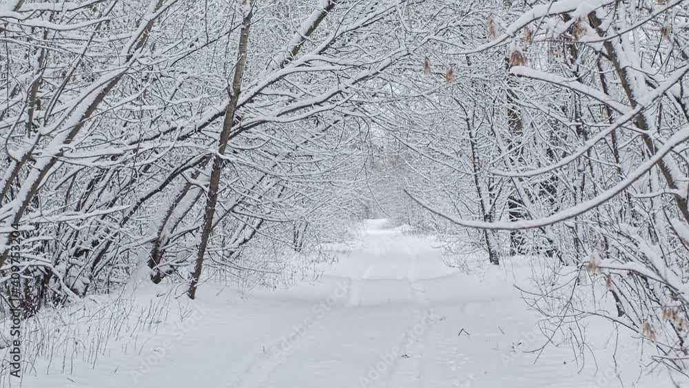 Winter snowy landscape. Middle Europe Belarussian nature Winter snowy landscape. Middle Europe Belarussian nature