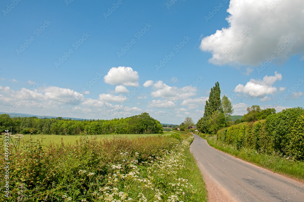 Summer road in the countryside