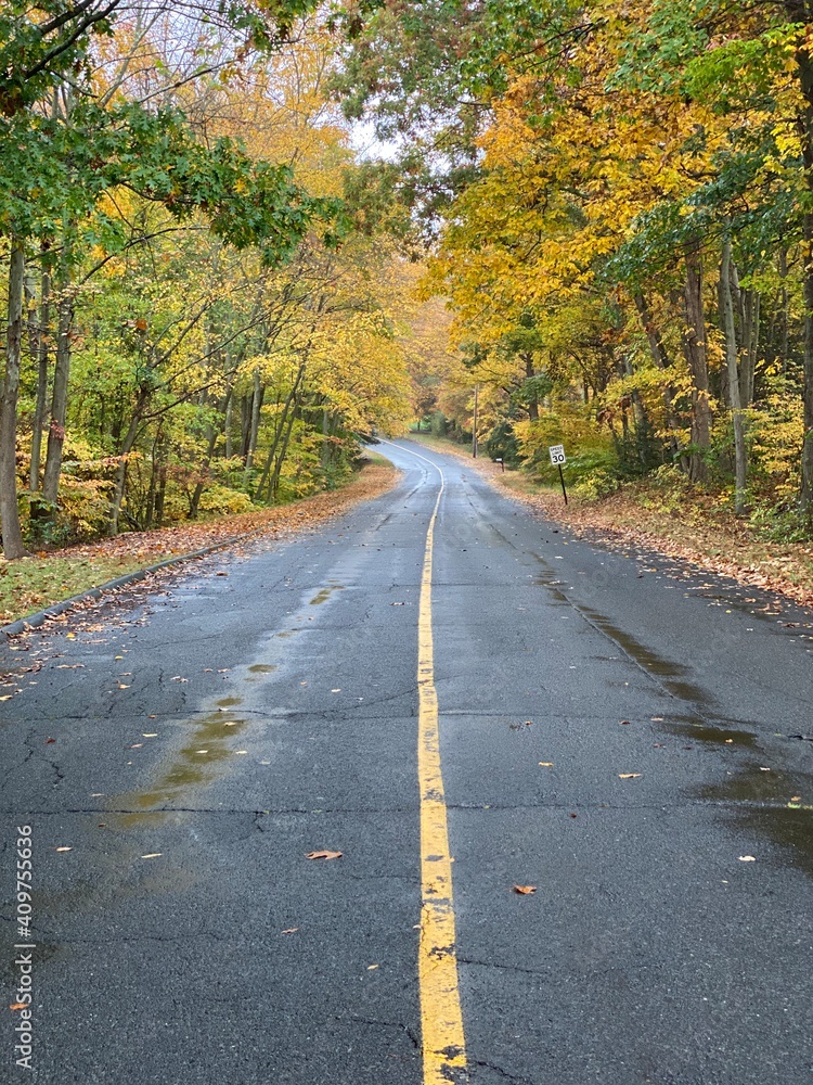 winding road in autumn winding road in autumn