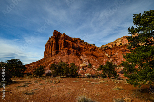 Red Mesa jutting out of the ground with pine trees at the base, and a blue sky.