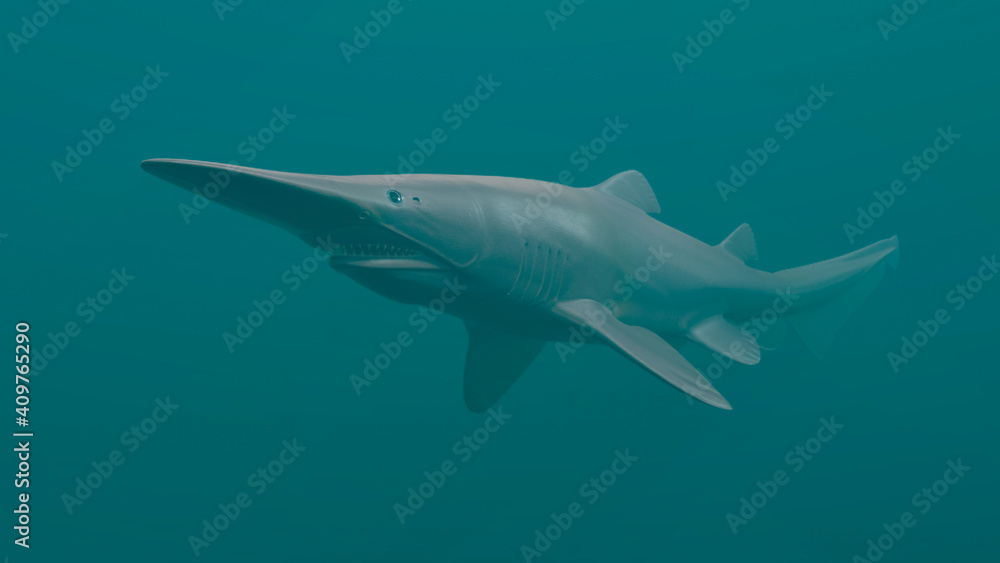 Goblin Shark (Mitsukurina owstoni), 3D rendered Goblin Shark (Mitsukurina owstoni), 3D rendered