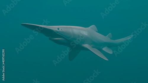 Vászonkép Goblin Shark (Mitsukurina owstoni), 3D rendered
