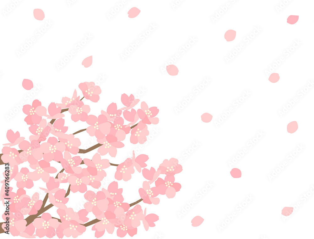さくら103 桜 さくら103 桜
