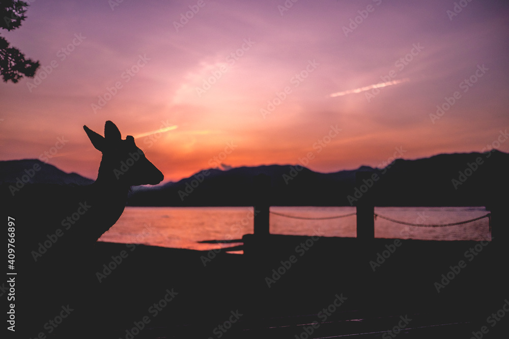 Amazing view of deer silhouette and sunset over the sea with mountains in the horizont from the Miyajima Island, Japan