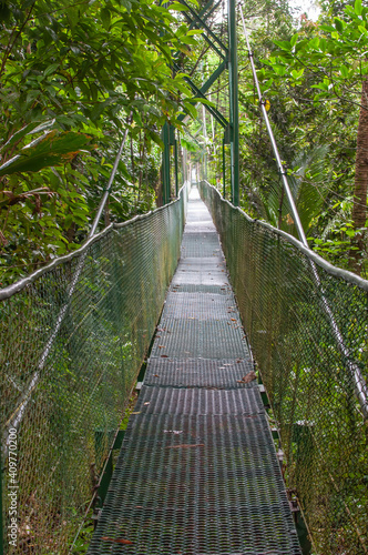 Walking suspension bridge in the rainforest of Costa Rica. © ChristyLangPhotos