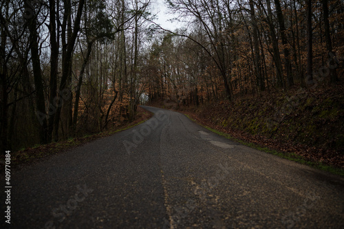Winter road in the forests of Tennessee