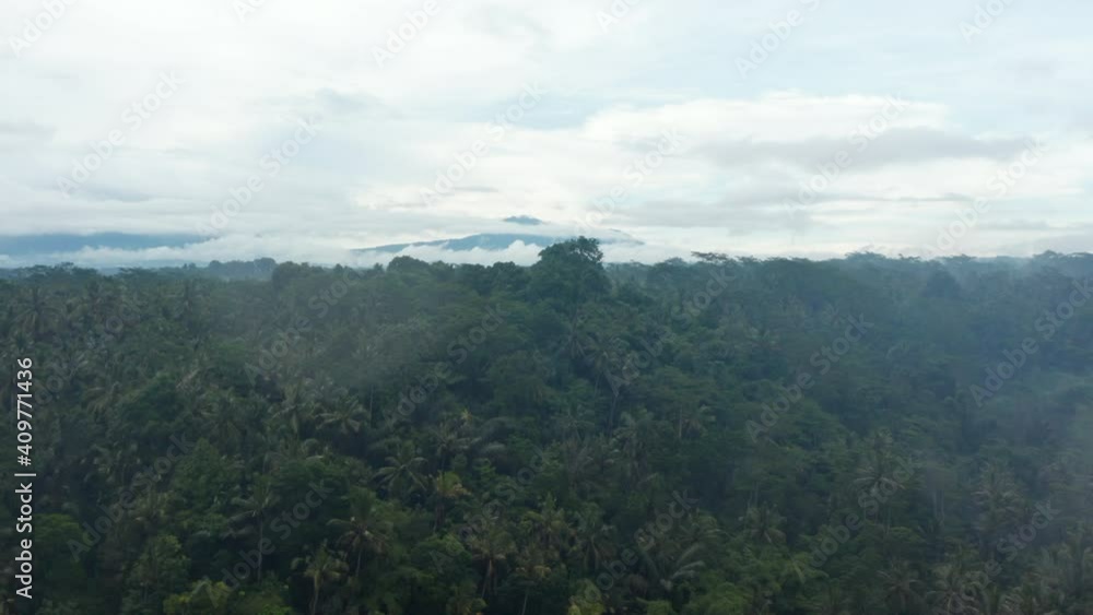 Aerial dolly reveal shot of the trees in a large tropical rainforest in Bali with tall mountain covered in fog in the background Aerial dolly reveal shot of the trees in a large tropical rainforest in Bali with tall mountain covered in fog in the background