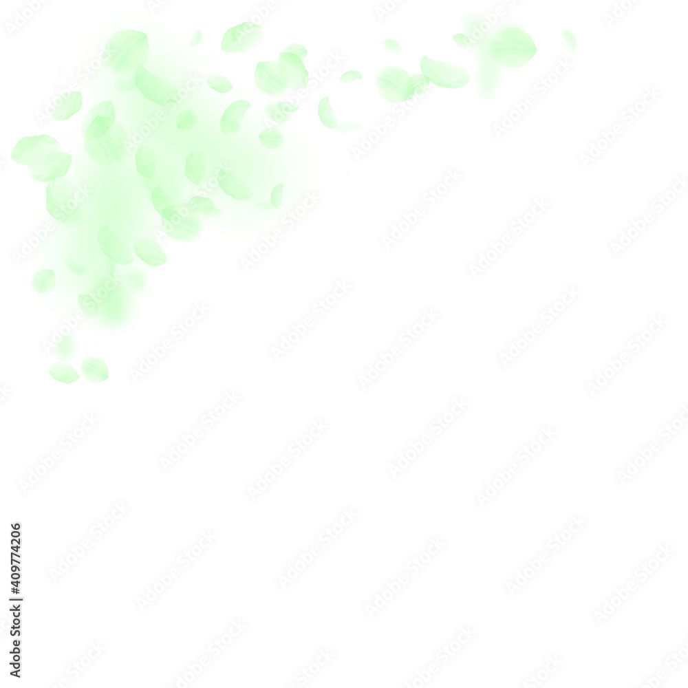 Green flower petals falling down. Mesmeric romanti Green flower petals falling down. Mesmeric romanti