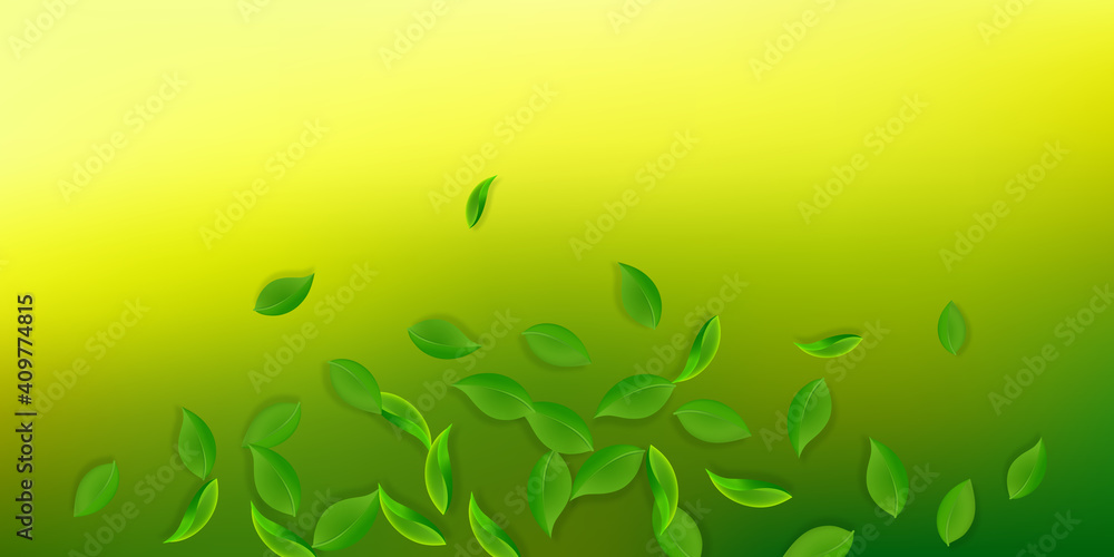 Falling green leaves. Fresh tea neat leaves flying. Spring foliage dancing on white background. Amazing summer overlay template. Decent spring sale vector illustration. Falling green leaves. Fresh tea neat leaves flying. Spring foliage dancing on white background. Amazing summer overlay template. Decent spring sale vector illustration.