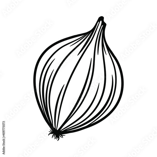 Whole onion bulb with roots. Onion isolated on white. Sketch illustration.