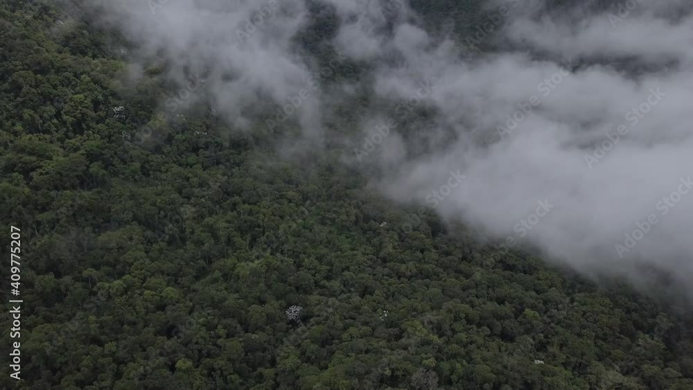 Aerial - clouds and fog over Atlantic forest in Rio de Janeiro, Brazil Aerial - clouds and fog over Atlantic forest in Rio de Janeiro, Brazil