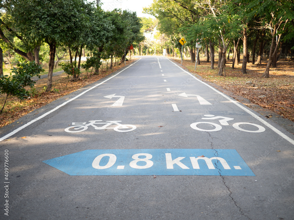 Obraz premium cycling path in the park. bicycle traffic sign painted on the floor