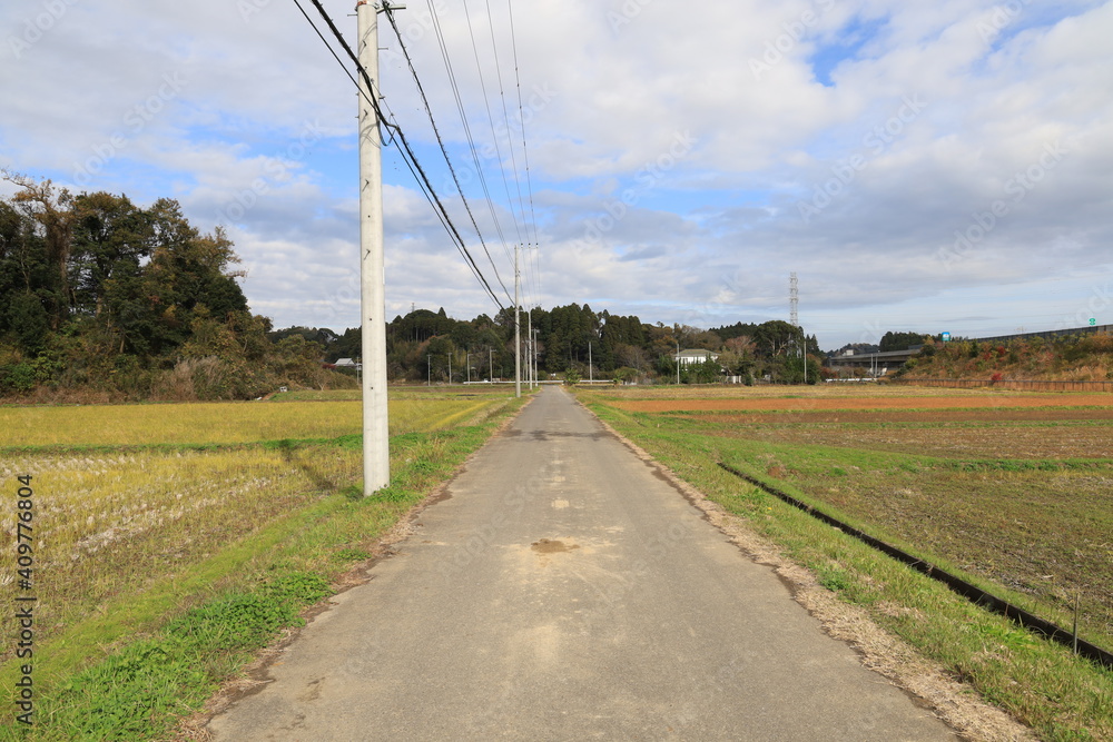 Fototapeta premium 空と田んぼ
