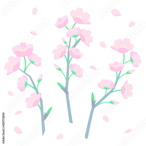 桜の枝のベクターイラスト